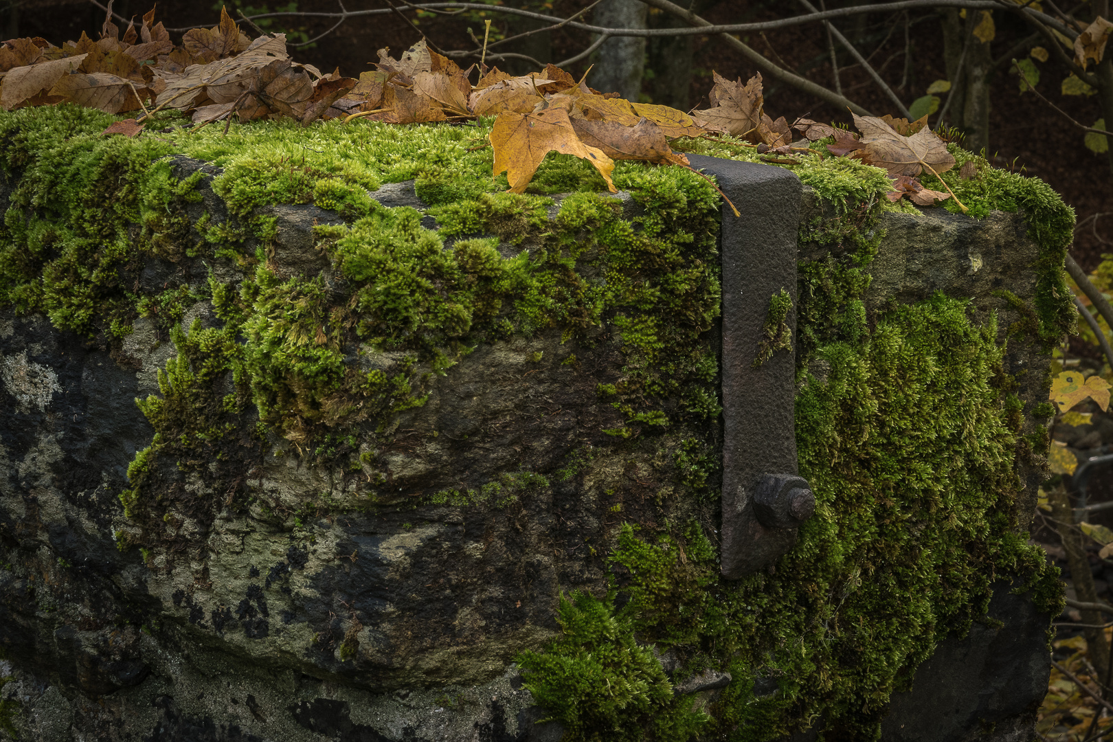 Herbstliche Szene mit Mutter