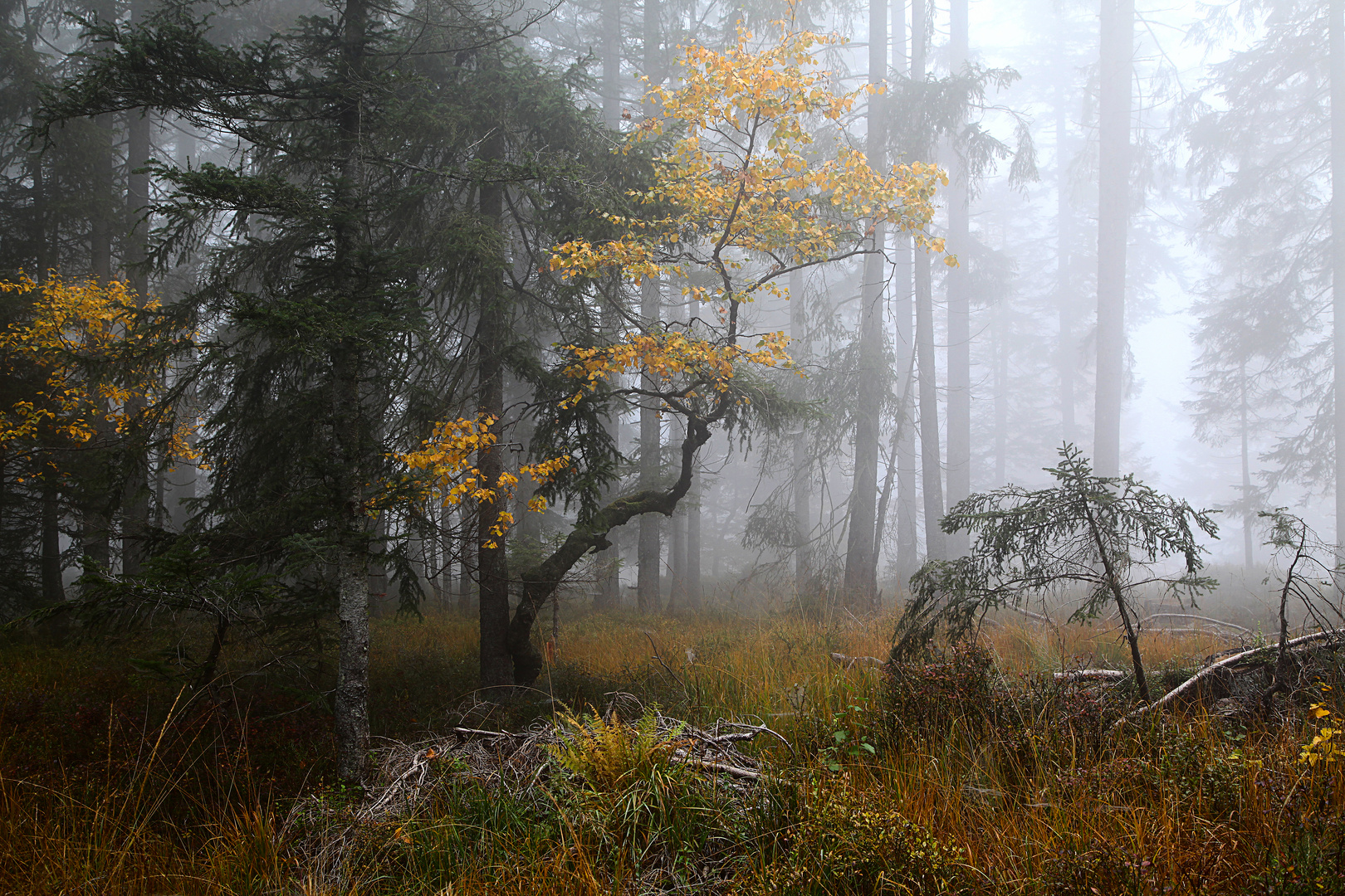 herbstliche Tage