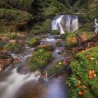 herbstliche Tiefensteinklamm