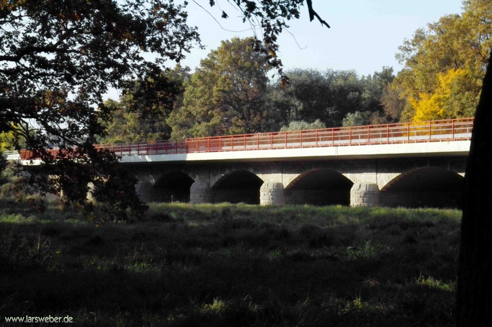 Herbstliche Tiergarten in Dessau-Rosslau - Nähe Autobahnzubringer