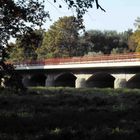 Herbstliche Tiergarten in Dessau-Rosslau - Nähe Autobahnzubringer