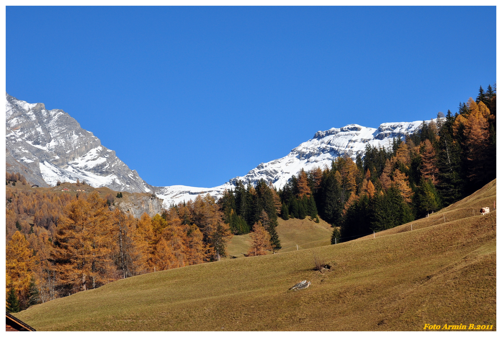 Herbstliche Traumwelt