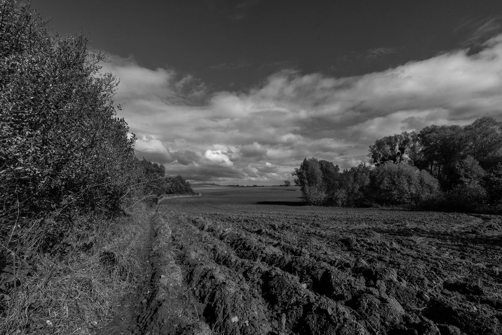 Herbstliche Uckermark 01