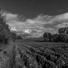 Herbstliche Uckermark 01