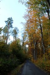 herbstliche Umgebung