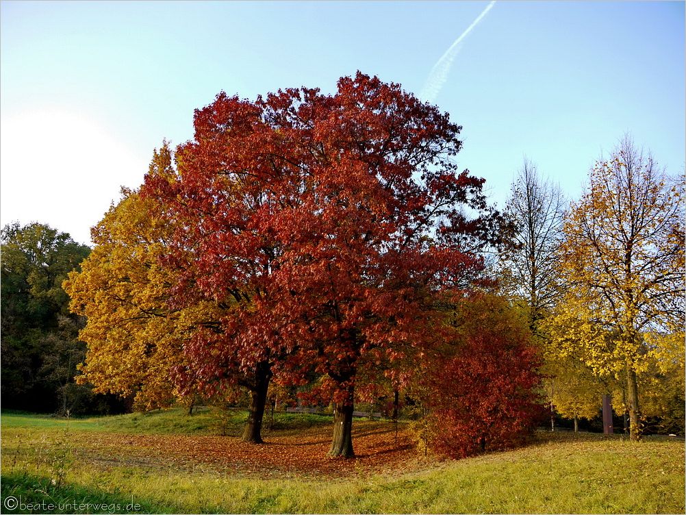 Herbstliche Veränderungen