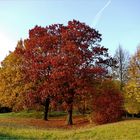 Herbstliche Veränderungen