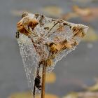 Herbstliche Verpackung