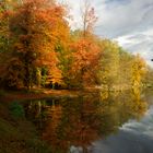 Herbstliche Vielfalt