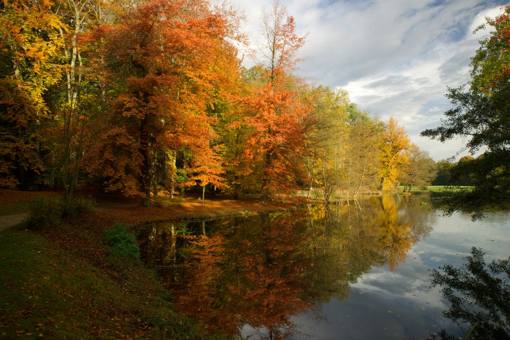 Herbstliche Vielfalt