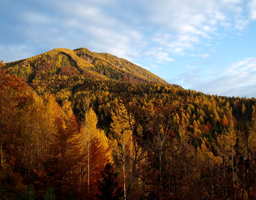 Herbstliche Vielfalt