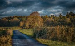 Herbstliche Vollendung