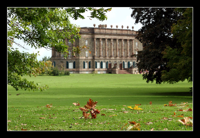 Herbstliche Vorboten in Kassel