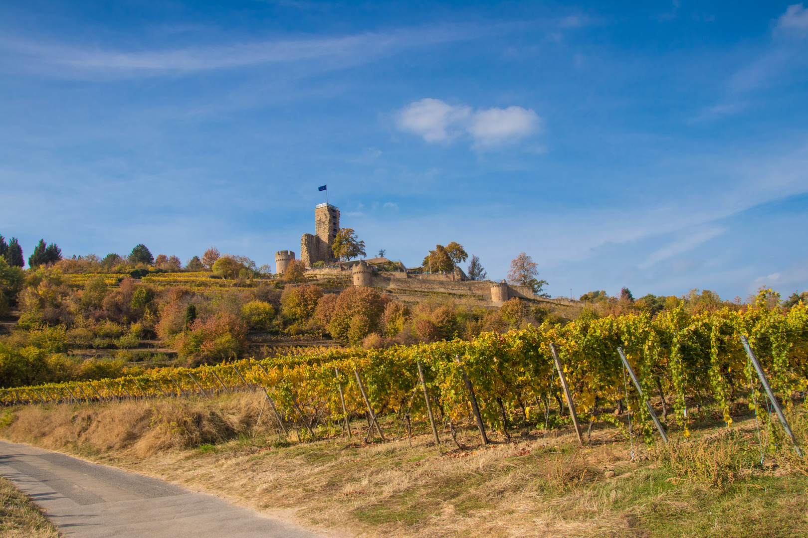 Herbstliche Wachtenburg