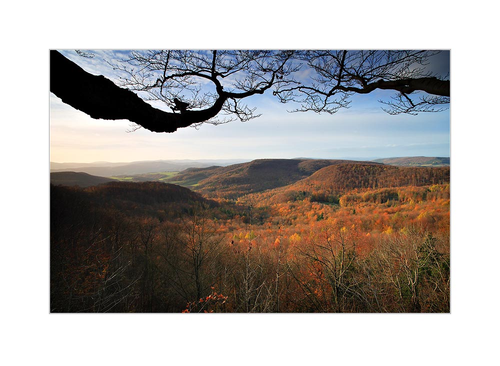 Herbstliche Wälder