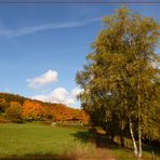 herbstliche Waldwege 3