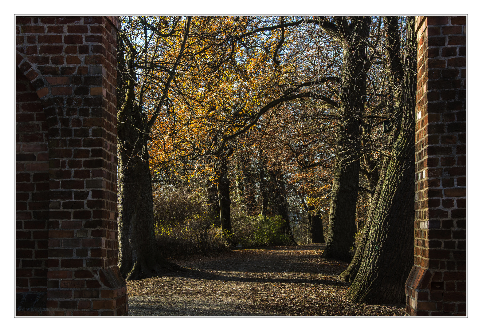 Herbstliche Wallanlage