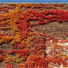 Herbstliche Wand