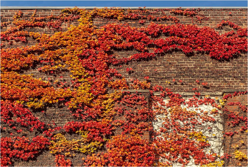 Herbstliche Wand