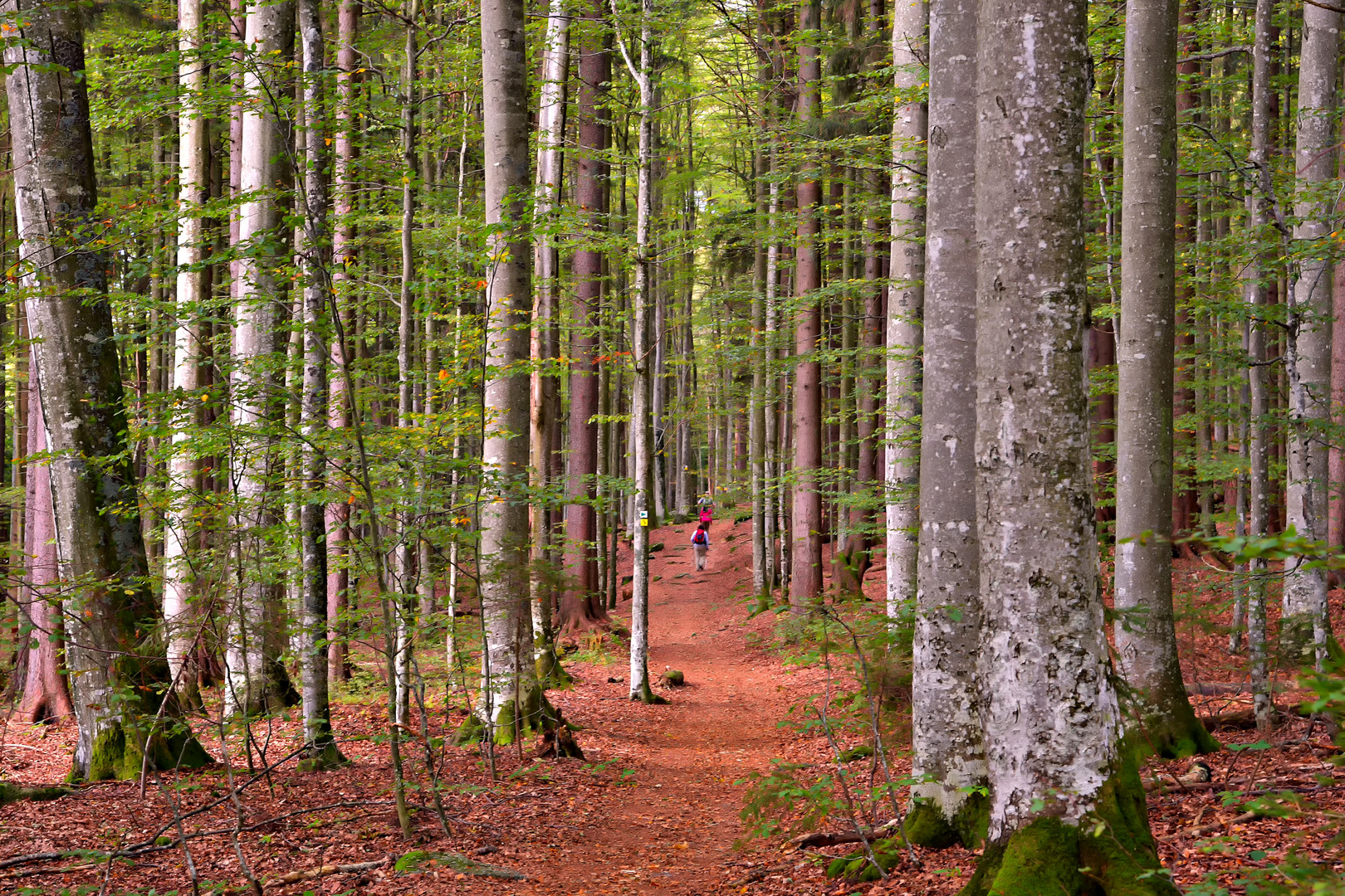 herbstliche Wanderung 1