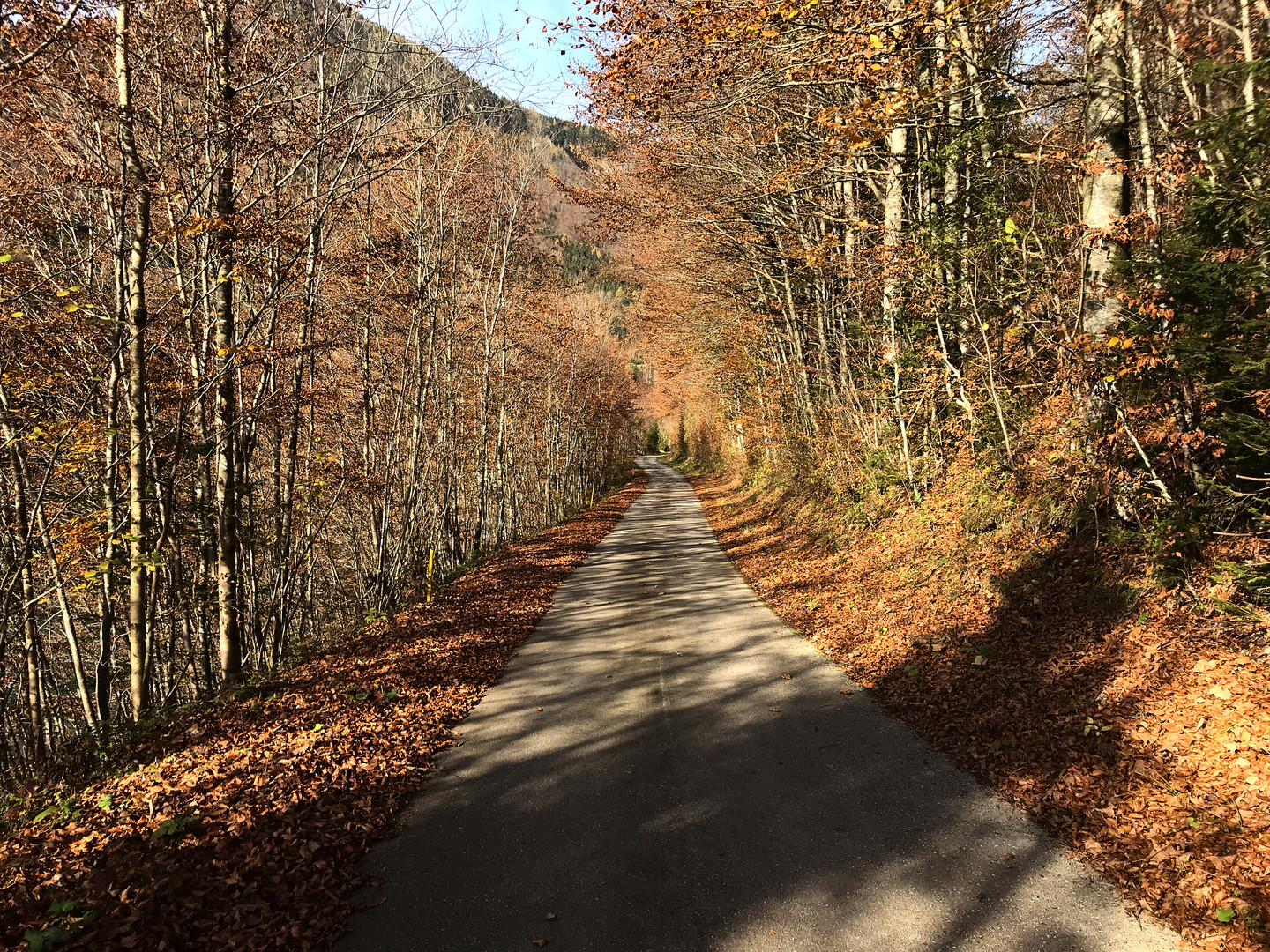 Herbstliche Wanderung