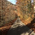 Herbstliche Wanderung