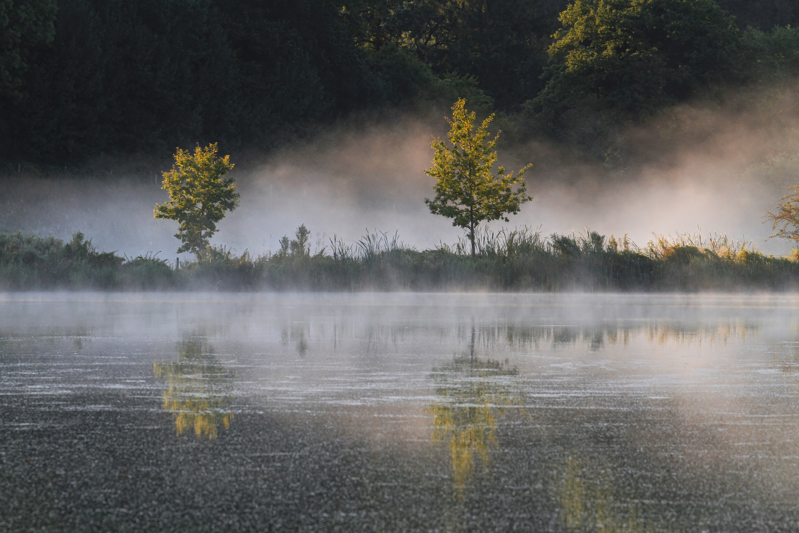 herbstliche Wasser - Spiegelung