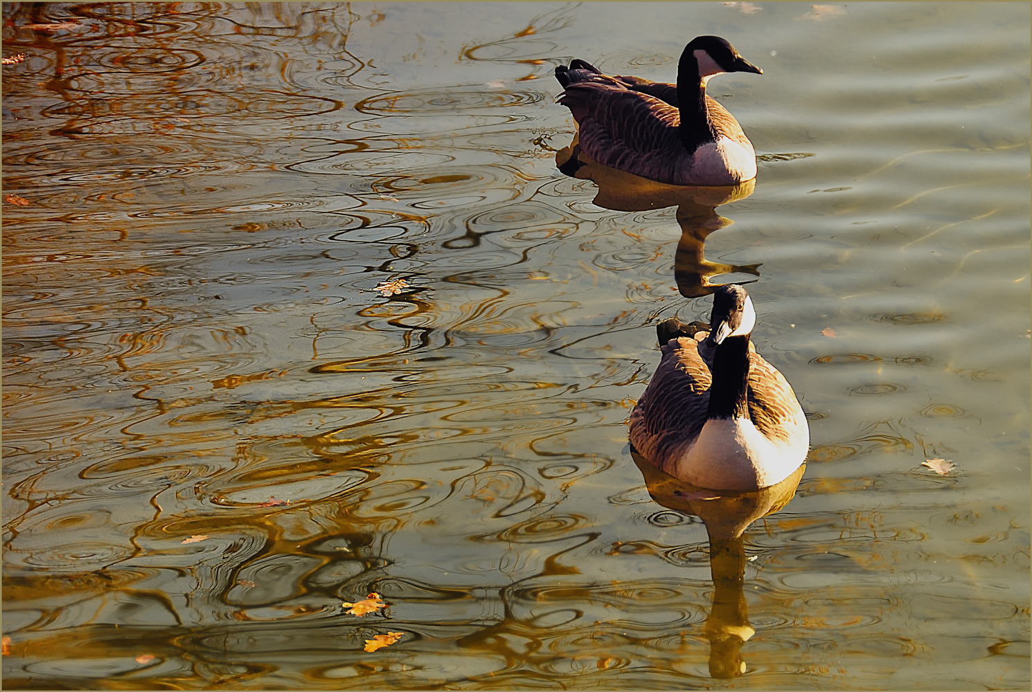 HERBSTLICHE WASSERFARBSPIELE