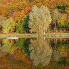 Herbstliche Wasserspiegelung.......