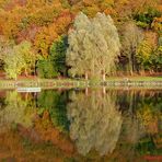 Herbstliche Wasserspiegelung.......