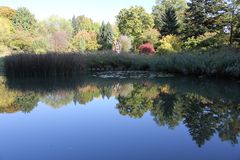 herbstliche Wasserspiegelung