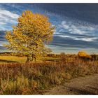 Herbstliche Wege