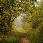 herbstliche Wege am alten Oderarm in Lebus