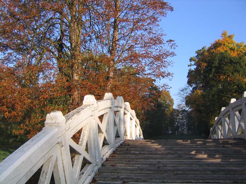 Herbstliche Wege II