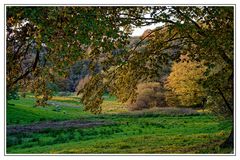 Herbstliche Weidelandschaft