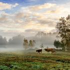 Herbstliche Weiden