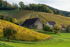 Herbstliche Weinberge