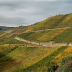 Herbstliche Weinberge