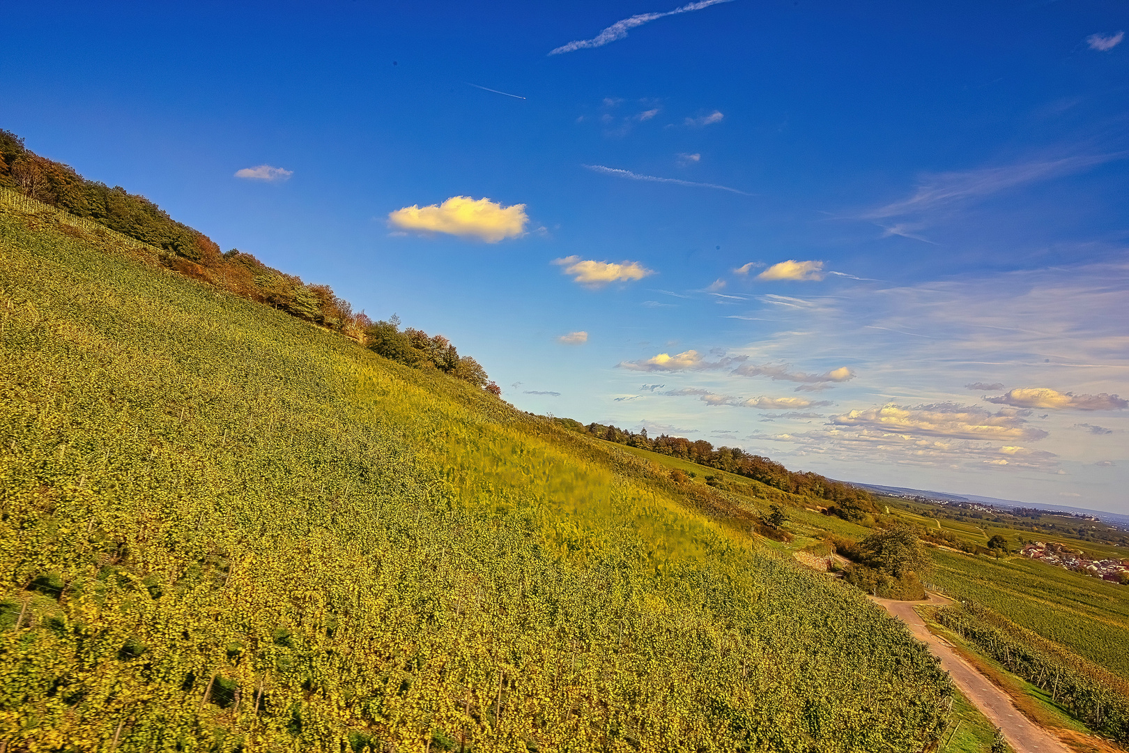  herbstliche Weinberge 