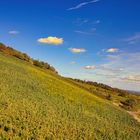  herbstliche Weinberge 