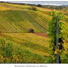 Herbstliche Weinberge bei Schnait 2