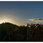 herbstliche Weinbergimpression -5-