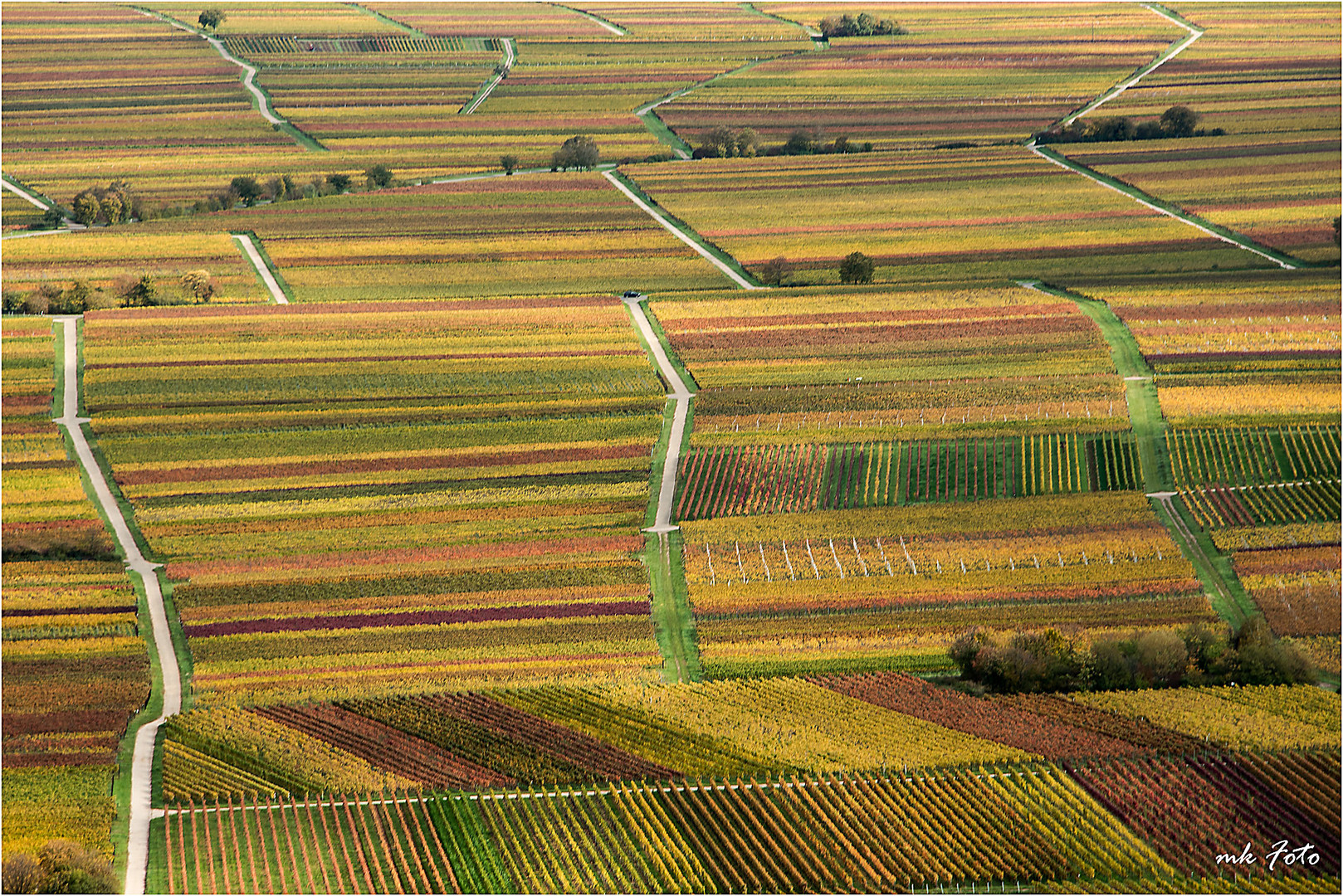 Herbstliche Weinlandschaft