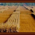 Herbstliche Wellenlaengen