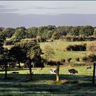 Herbstliche Wiesenlandschaft in Eynatten