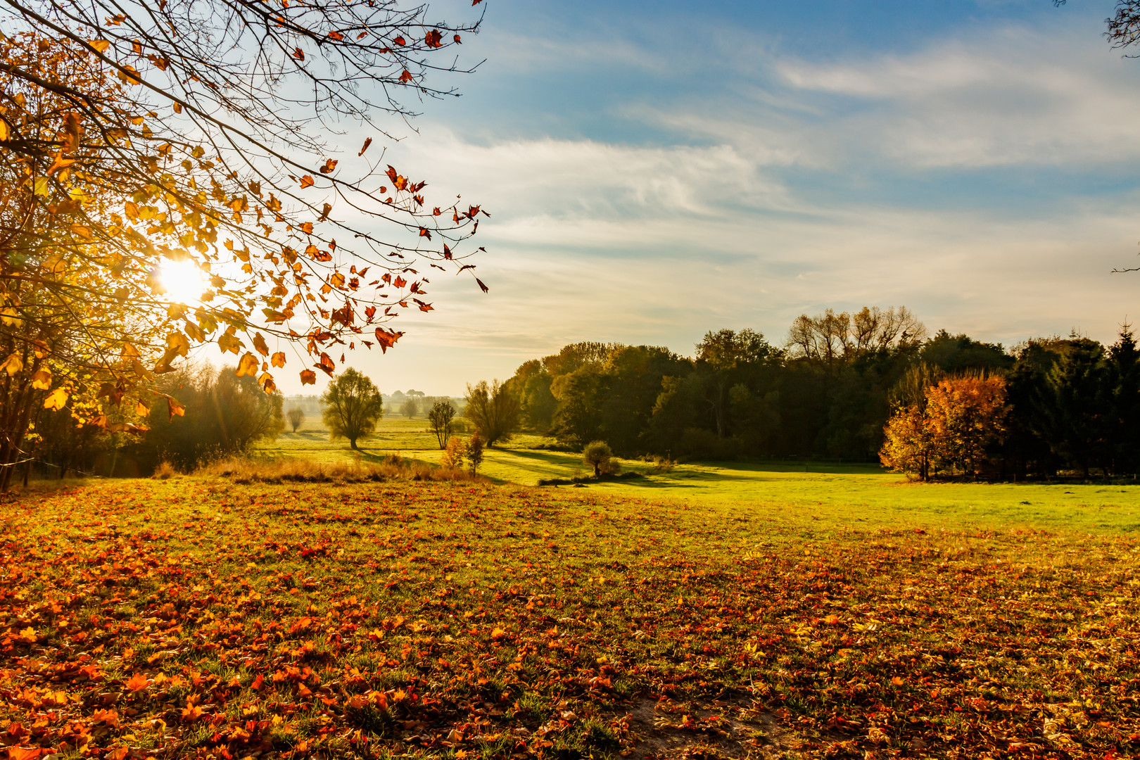 herbstliche Wiesenlandschaft in Nordwestmecklenburg