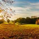 herbstliche Wiesenlandschaft in Nordwestmecklenburg