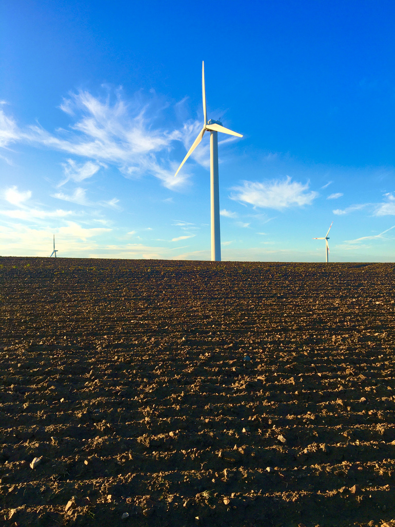 herbstliche Windpower