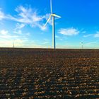 herbstliche Windpower