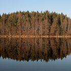 herbstliche Winterstimmung am See